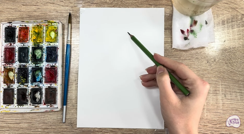 Рисуем Пижма