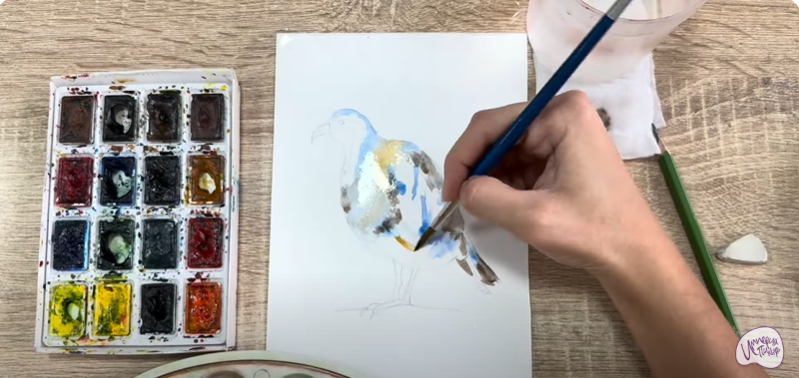 Рисуем Кеклик Рисуем Кеклик