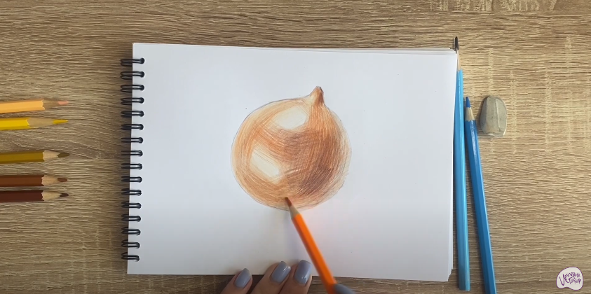 Рисуем Луковица