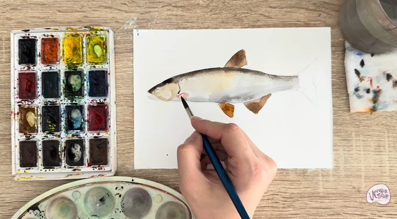 Рисуем Голавль