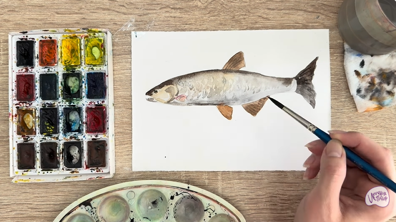 Рисуем Голавль