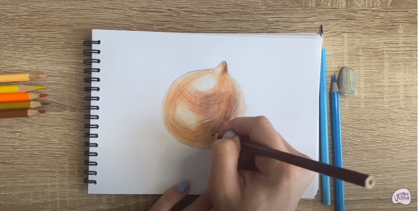 Рисуем Луковица