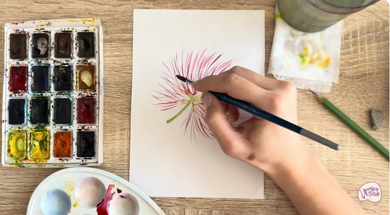 Рисуем Альбиция