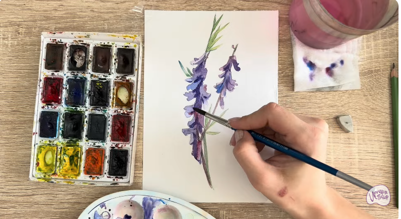 Рисуем Мышиный горошек