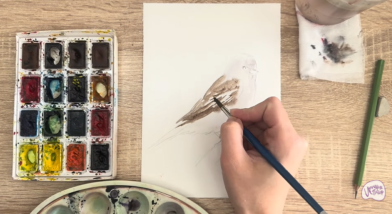 Рисуем Обыкновенная чечётка