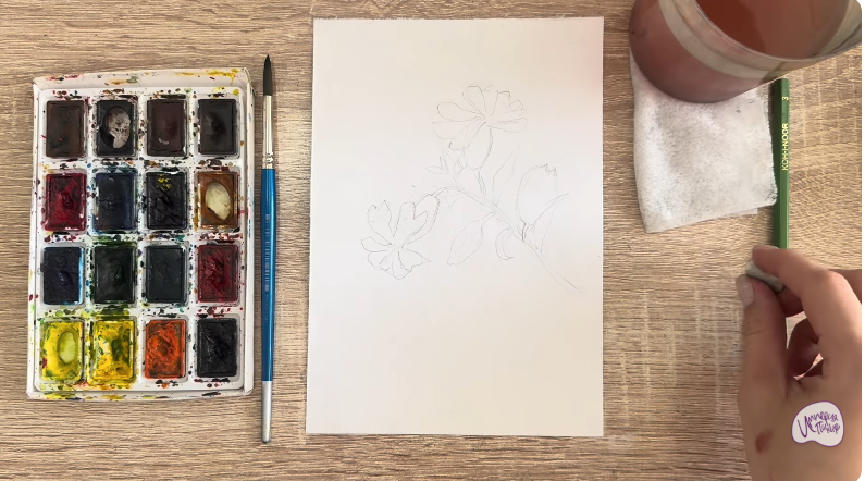 Рисуем Розовая смолёвка