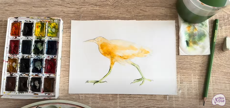 Рисуем Выпь Рисуем Выпь
