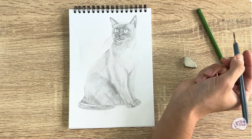 Рисуем Бурманский кот Рисуем Бурманский кот