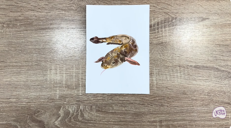 Рисуем Налим