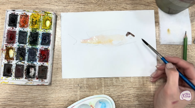 Рисуем Чернокрапчатый ворчун