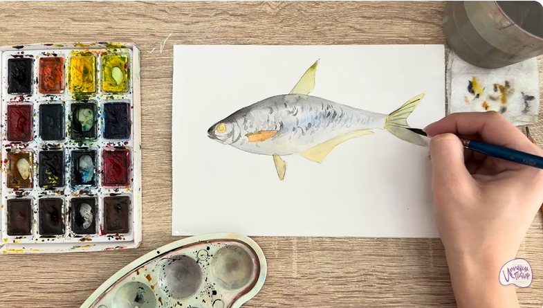 Рисуем Белоглазка