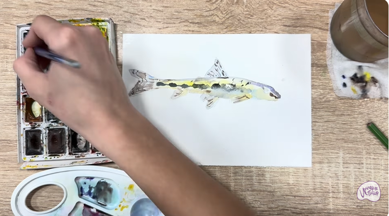 Рисуем Ленский пескарь