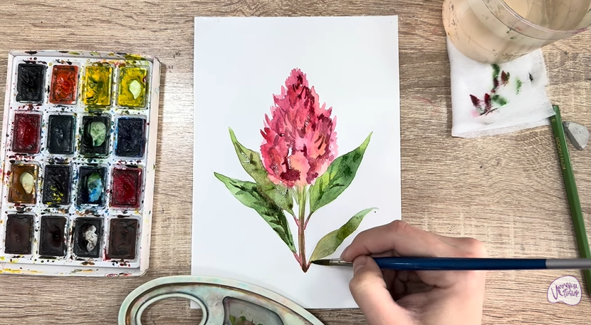 Рисуем Целозия