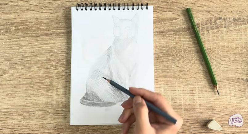 Рисуем Бурманский кот Рисуем Бурманский кот