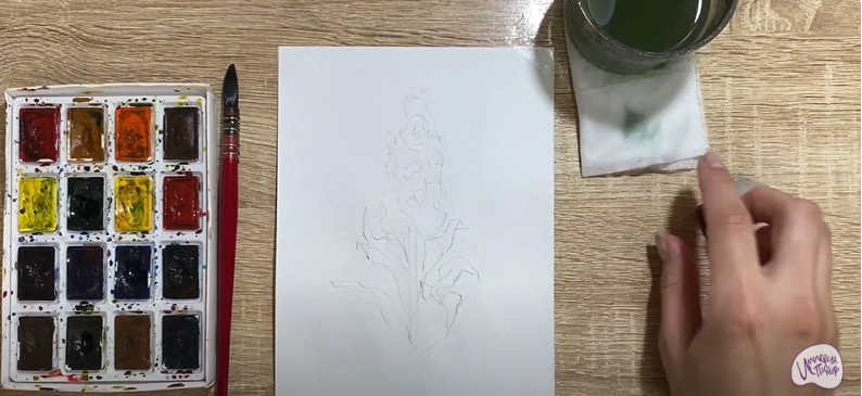 Рисуем Цветок "Маттиола"
