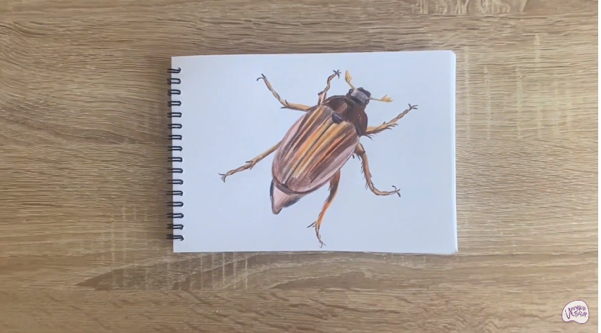 Рисуем Майский жук