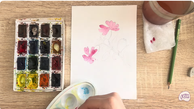 Рисуем Розовая смолёвка