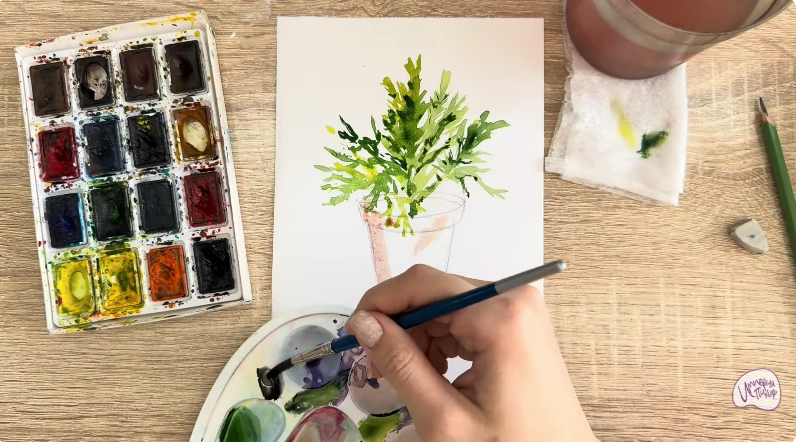 Рисуем Криптомерия японская