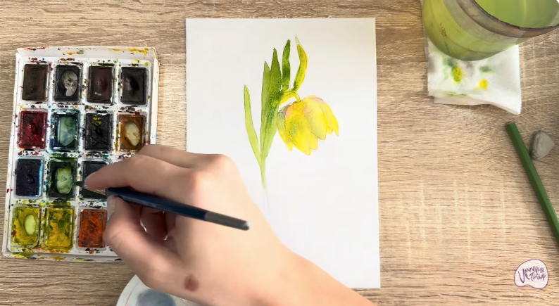 Рисуем Желтый рябчик