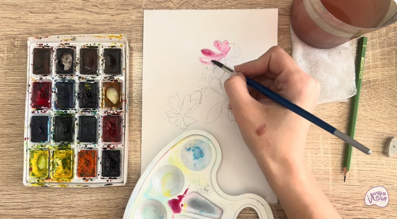 Рисуем Розовая смолёвка