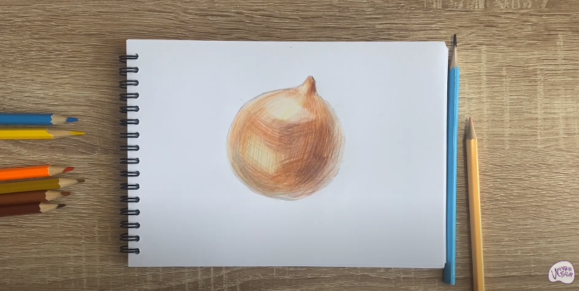 Рисуем Луковица