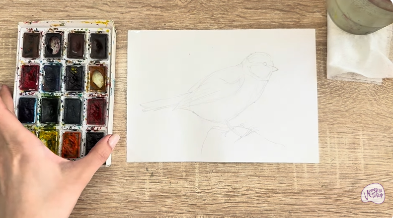 Рисуем Обыкновенная лазоревка