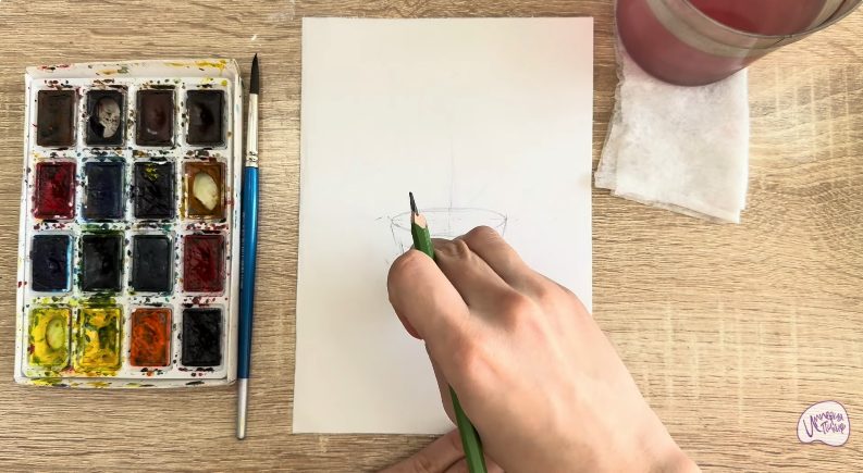 Рисуем Криптомерия японская