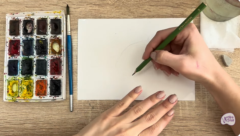 Рисуем Обыкновенная лазоревка