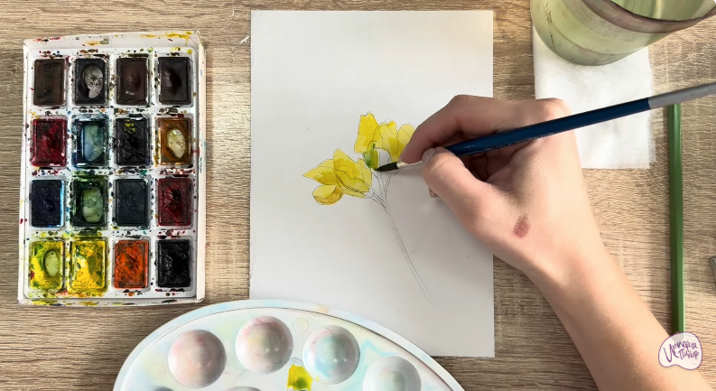 Рисуем Чина луговая