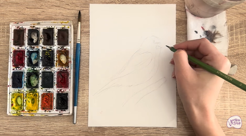 Рисуем Обыкновенная чечётка