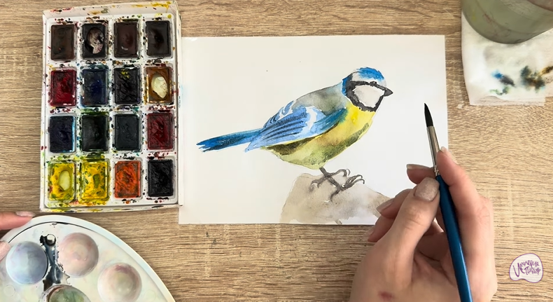 Рисуем Обыкновенная лазоревка