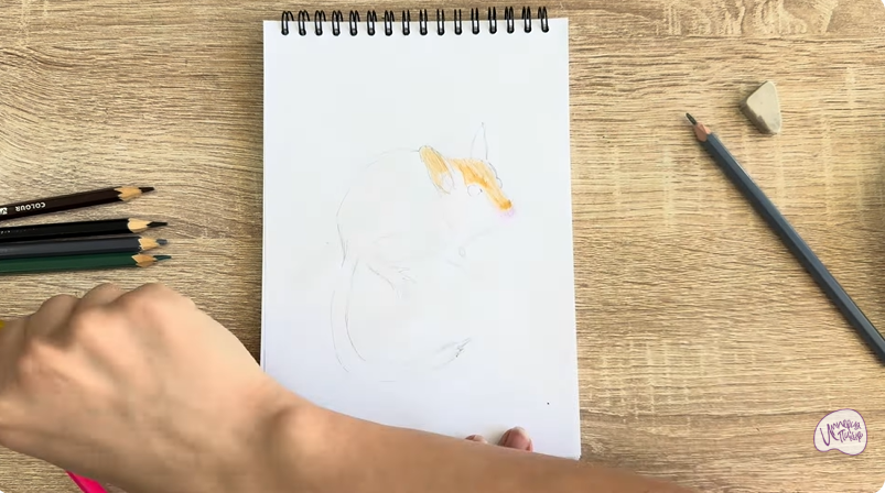 Рисуем Садовая соня