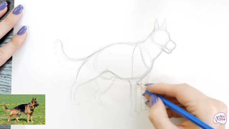 Рисуем Немецкая овчарка