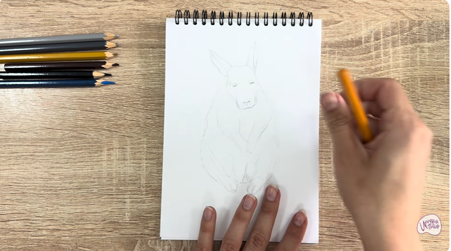 Рисуем Горная вискаша