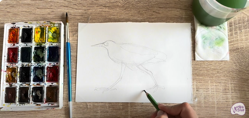 Рисуем Выпь Рисуем Выпь