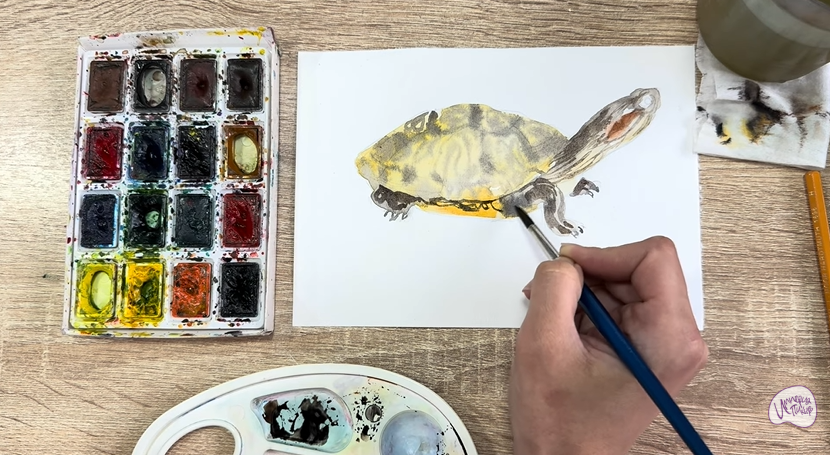 Рисуем Красноухая черепаха