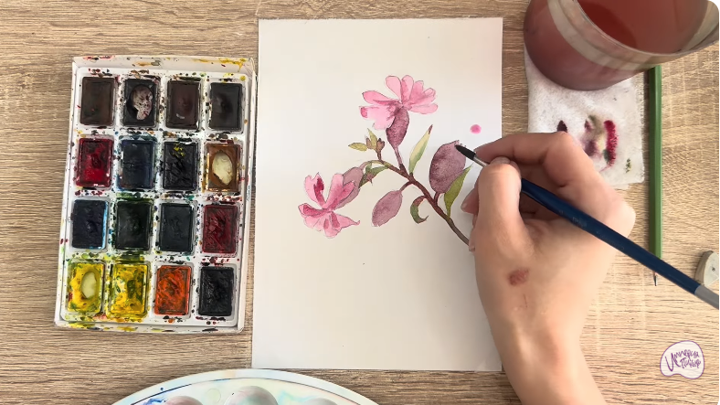 Рисуем Розовая смолёвка