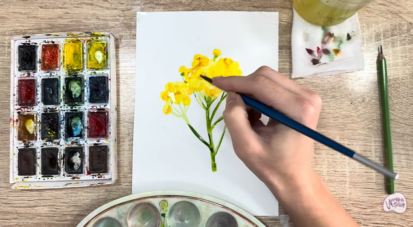 Рисуем Пижма