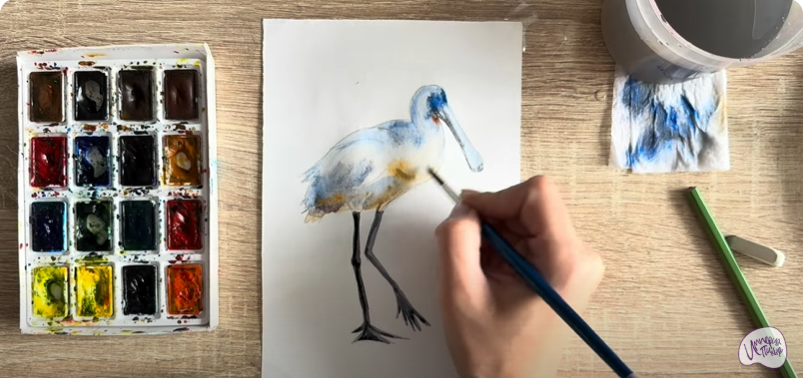 Рисуем Колпица Рисуем Колпица