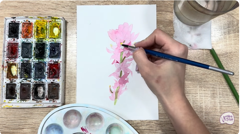 Рисуем Мирикария лисохвостая