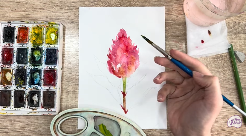 Рисуем Целозия