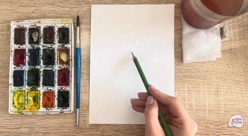 Рисуем Розовая смолёвка