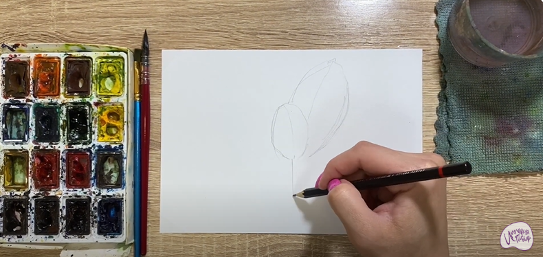 Рисуем Фикус