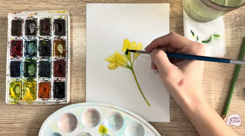 Рисуем Чина луговая