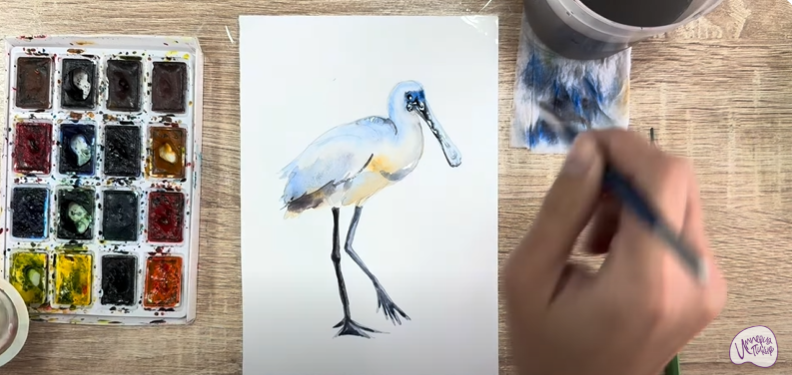 Рисуем Колпица Рисуем Колпица