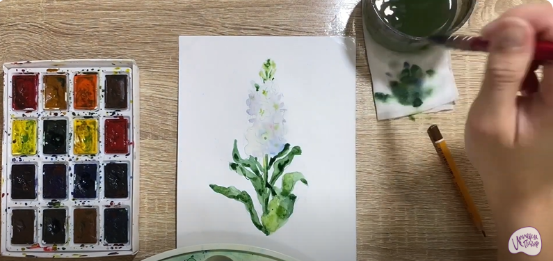 Рисуем Цветок "Маттиола"