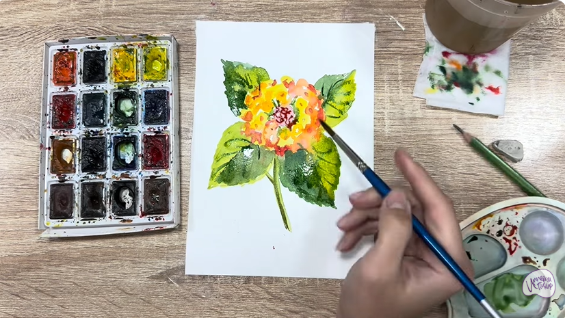 Рисуем Лантана Рисуем Лантана