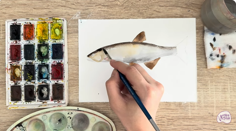 Рисуем Голавль