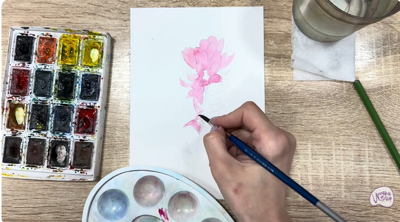 Рисуем Мирикария лисохвостая