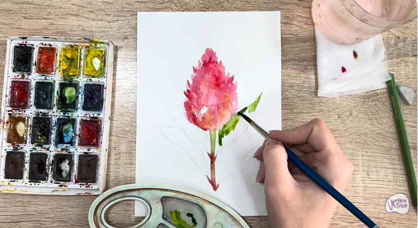 Рисуем Целозия